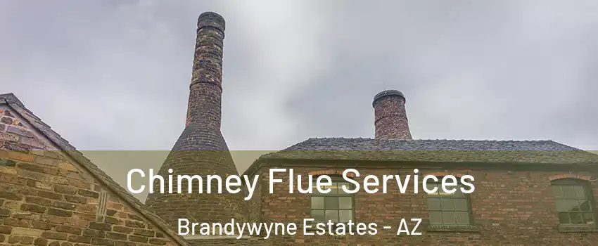 Chimney Flue Services Brandywyne Estates - AZ