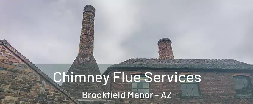 Chimney Flue Services Brookfield Manor - AZ