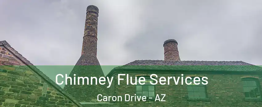 Chimney Flue Services Caron Drive - AZ