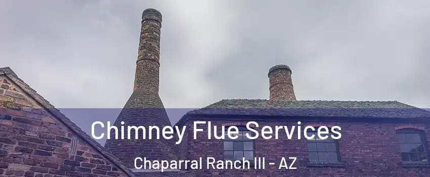 Chimney Flue Services Chaparral Ranch III - AZ