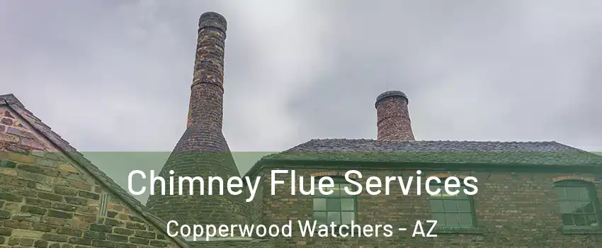 Chimney Flue Services Copperwood Watchers - AZ