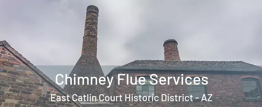 Chimney Flue Services East Catlin Court Historic District - AZ