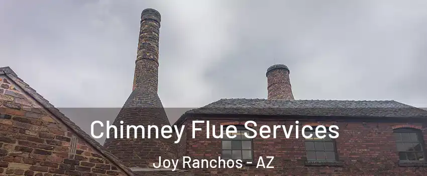 Chimney Flue Services Joy Ranchos - AZ