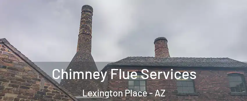 Chimney Flue Services Lexington Place - AZ