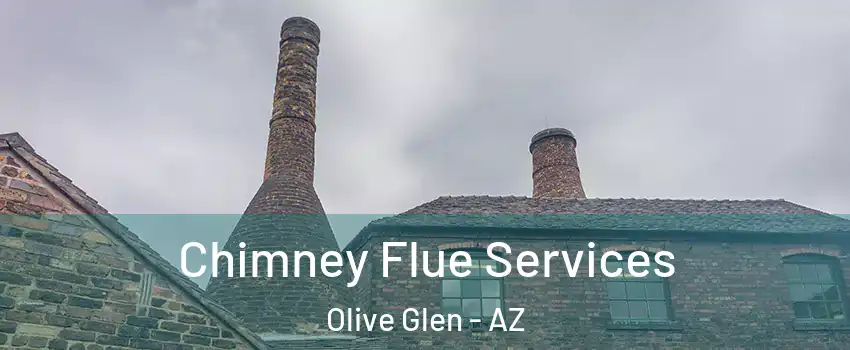 Chimney Flue Services Olive Glen - AZ