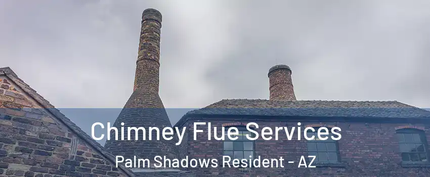 Chimney Flue Services Palm Shadows Resident - AZ