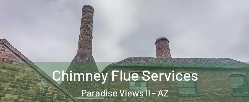 Chimney Flue Services Paradise Views II - AZ