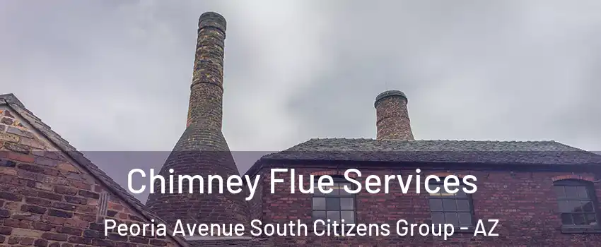 Chimney Flue Services Peoria Avenue South Citizens Group - AZ