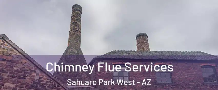 Chimney Flue Services Sahuaro Park West - AZ