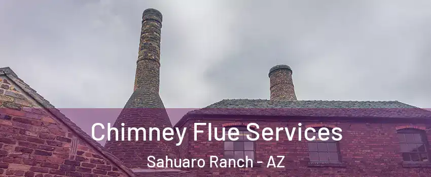 Chimney Flue Services Sahuaro Ranch - AZ
