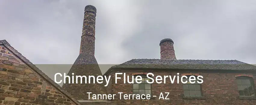 Chimney Flue Services Tanner Terrace - AZ