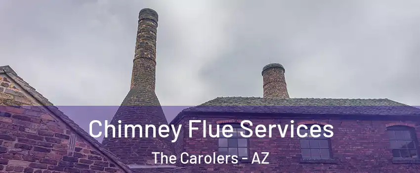 Chimney Flue Services The Carolers - AZ