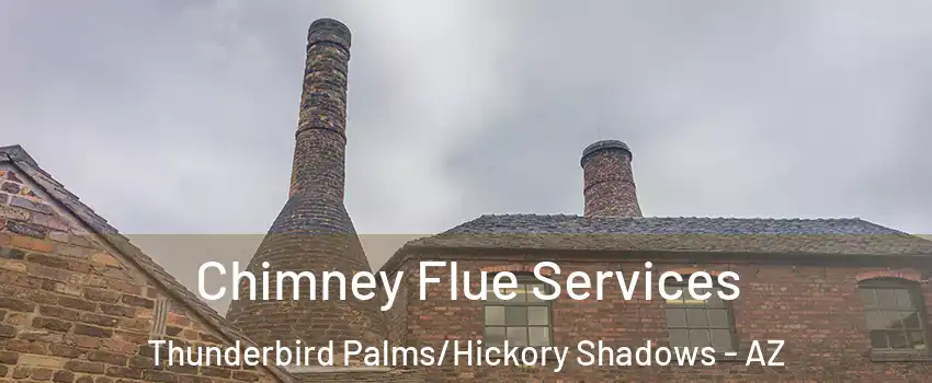Chimney Flue Services Thunderbird Palms/Hickory Shadows - AZ