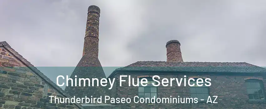 Chimney Flue Services Thunderbird Paseo Condominiums - AZ