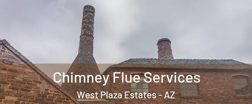 Chimney Flue Services West Plaza Estates - AZ