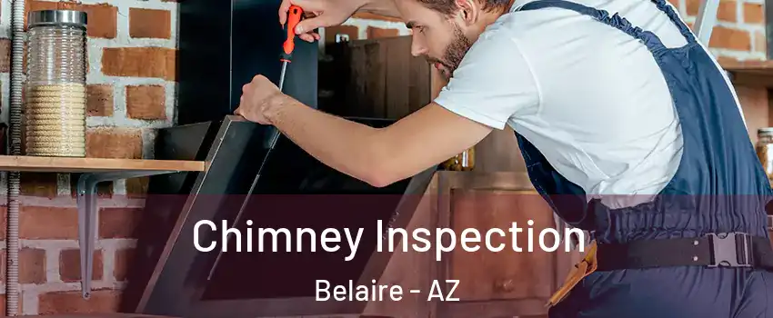 Chimney Inspection Belaire - AZ