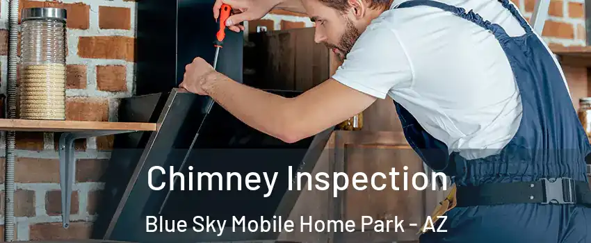 Chimney Inspection Blue Sky Mobile Home Park - AZ