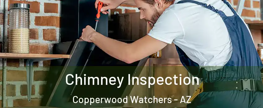 Chimney Inspection Copperwood Watchers - AZ