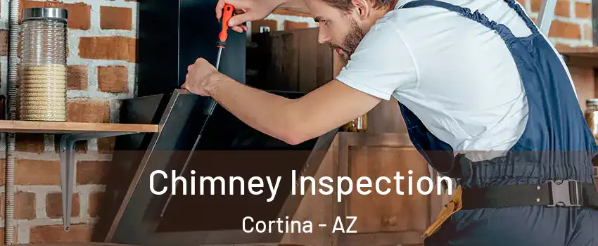 Chimney Inspection Cortina - AZ