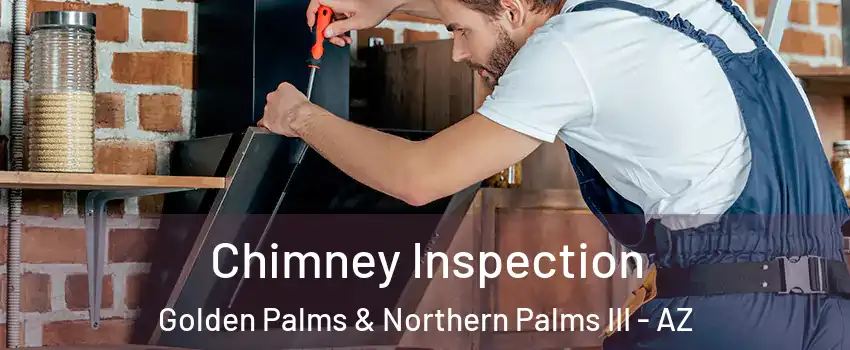 Chimney Inspection Golden Palms & Northern Palms III - AZ