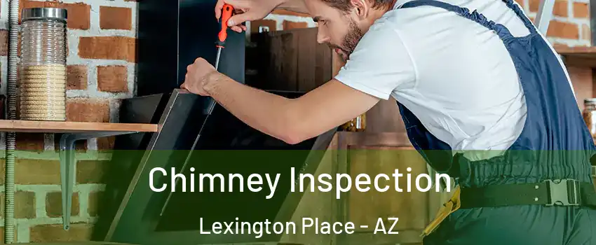 Chimney Inspection Lexington Place - AZ