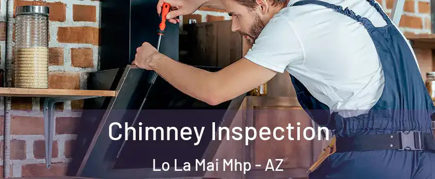 Chimney Inspection Lo La Mai Mhp - AZ
