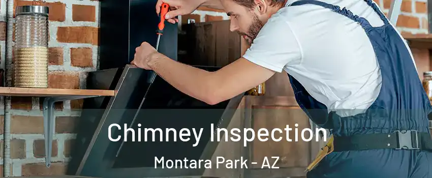 Chimney Inspection Montara Park - AZ