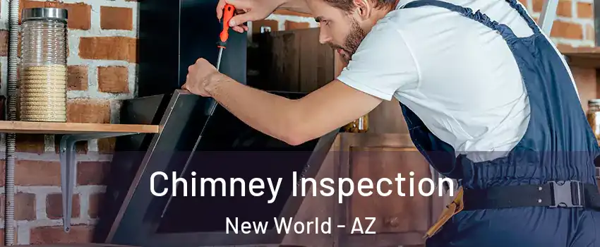 Chimney Inspection New World - AZ