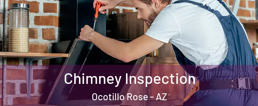 Chimney Inspection Ocotillo Rose - AZ