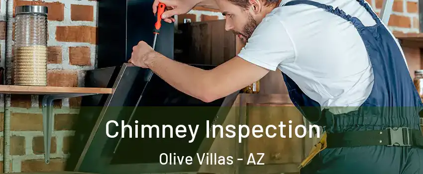 Chimney Inspection Olive Villas - AZ