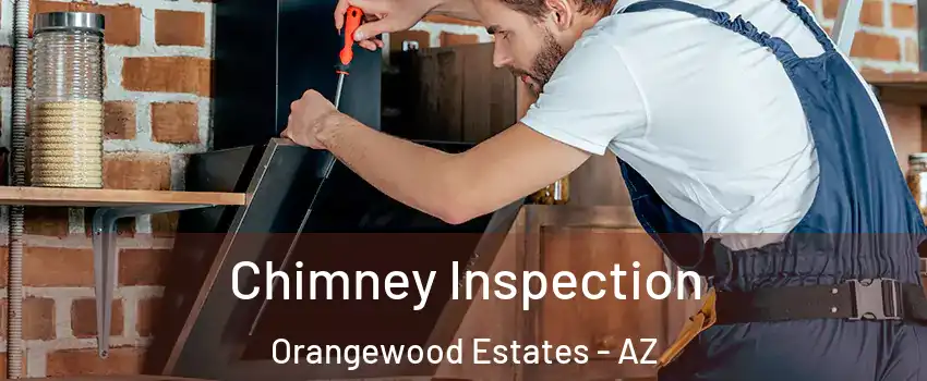 Chimney Inspection Orangewood Estates - AZ