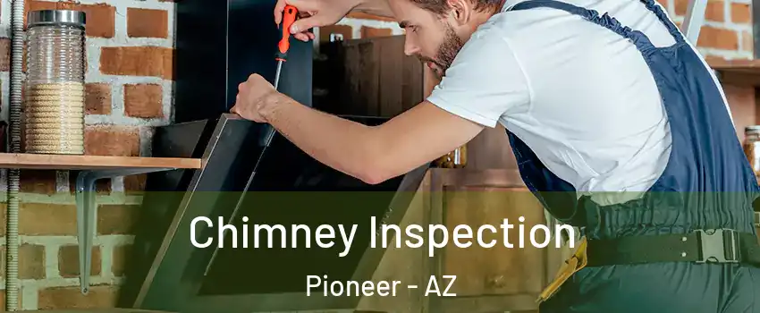 Chimney Inspection Pioneer - AZ