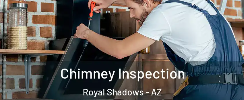 Chimney Inspection Royal Shadows - AZ