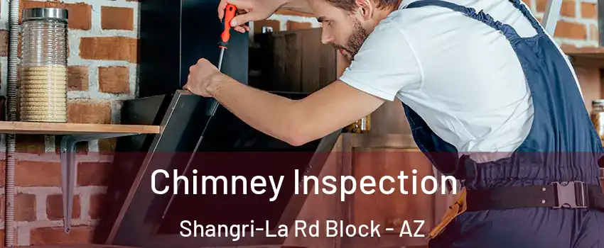 Chimney Inspection Shangri-La Rd Block - AZ