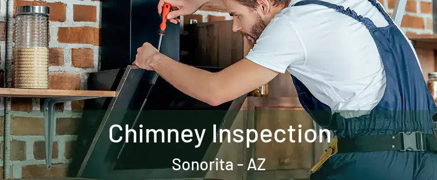 Chimney Inspection Sonorita - AZ