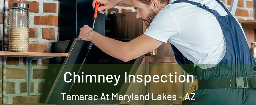 Chimney Inspection Tamarac At Maryland Lakes - AZ