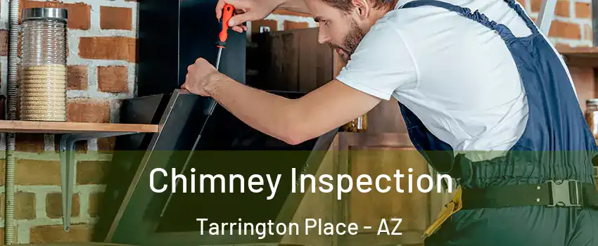 Chimney Inspection Tarrington Place - AZ