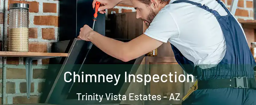 Chimney Inspection Trinity Vista Estates - AZ