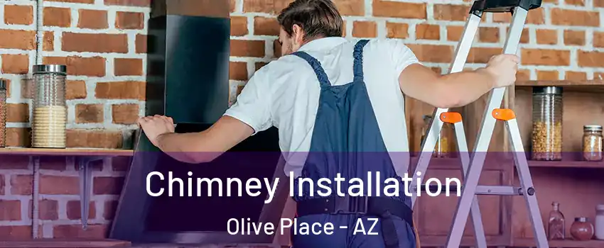 Chimney Installation Olive Place - AZ
