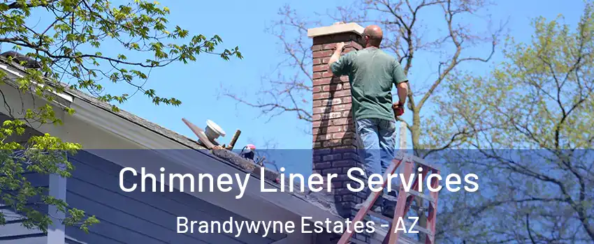 Chimney Liner Services Brandywyne Estates - AZ