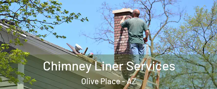Chimney Liner Services Olive Place - AZ