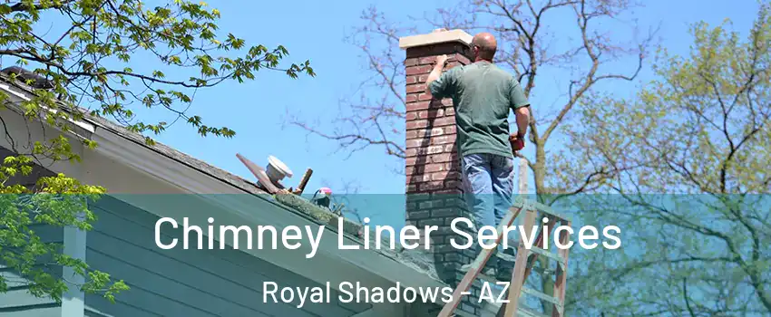 Chimney Liner Services Royal Shadows - AZ