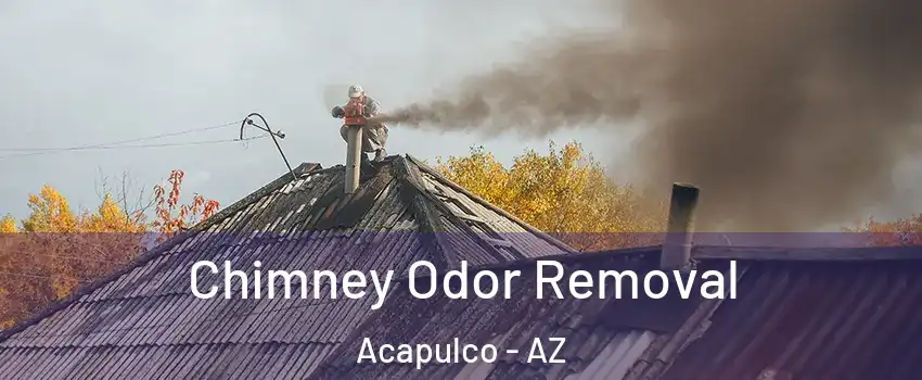 Chimney Odor Removal Acapulco - AZ