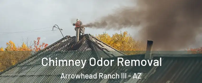 Chimney Odor Removal Arrowhead Ranch III - AZ