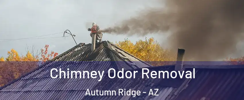 Chimney Odor Removal Autumn Ridge - AZ