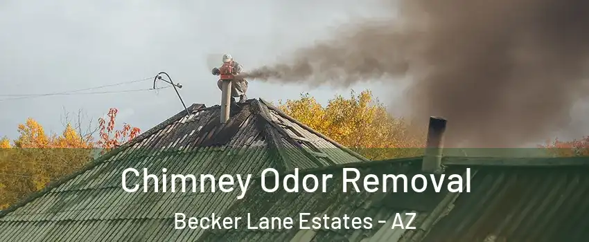 Chimney Odor Removal Becker Lane Estates - AZ