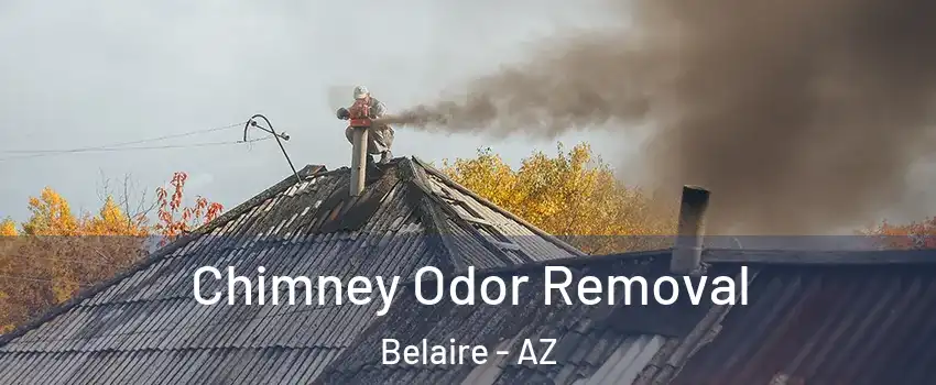 Chimney Odor Removal Belaire - AZ