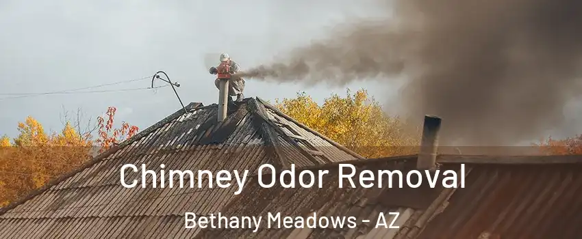 Chimney Odor Removal Bethany Meadows - AZ
