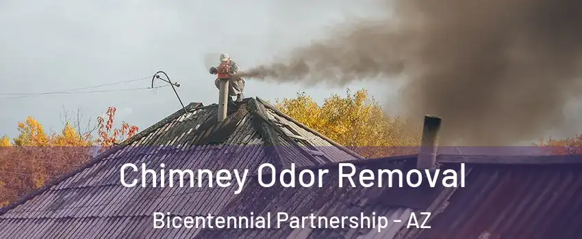 Chimney Odor Removal Bicentennial Partnership - AZ
