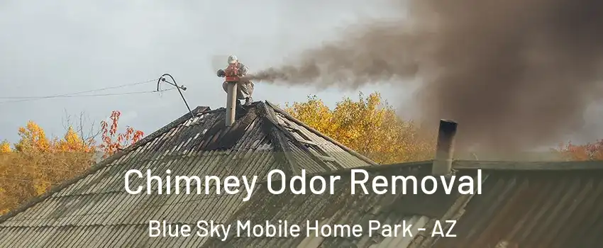Chimney Odor Removal Blue Sky Mobile Home Park - AZ